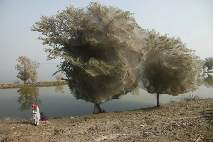 10+ Powerful Photos That Prove Nature Rules the World